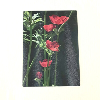 anemone deco large rectangle glass worktop saver product image