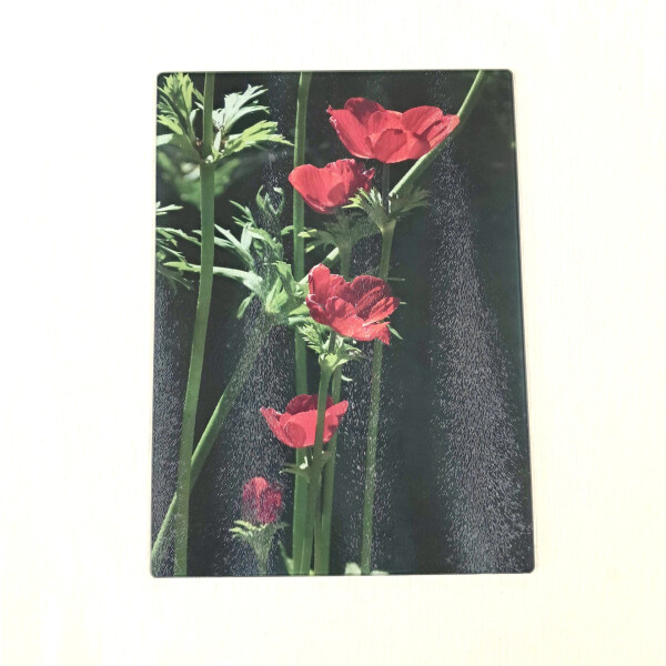 anemone deco large rectangle glass worktop saver product image