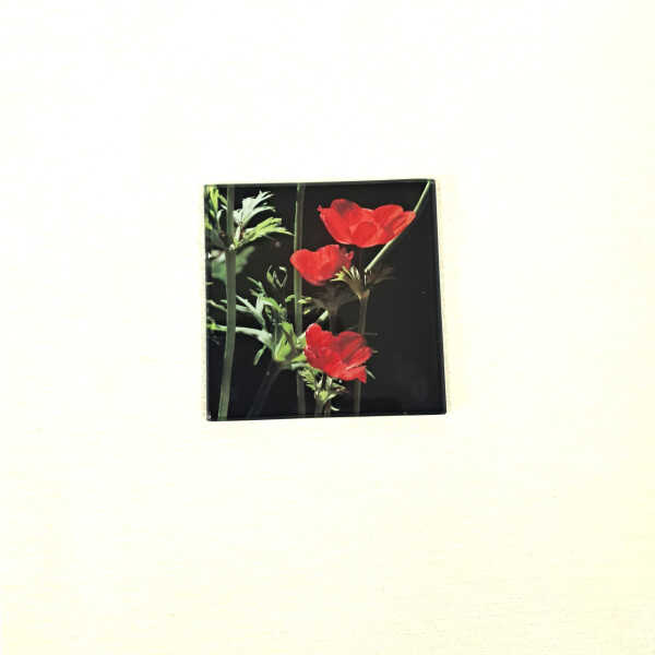 anemone deco square glass coaster product image