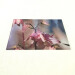 aquilegia pink large rectangle glass worktop saver angle view product image