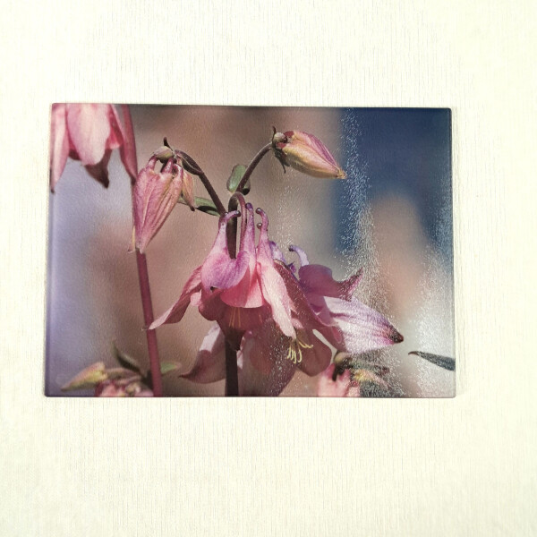 aquilegia pink large rectangle glass worktop saver product image