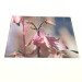aquilegia pink large rectangle glass worktop saver slight angle view product image