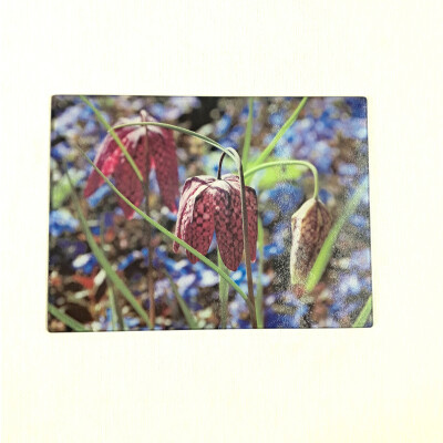 fritillary blue large rectangle glass worktop saver product image