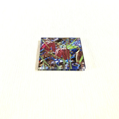 fritillary blue square glass coaster angle view product image