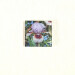 iris lilac and red square glass coaster product image