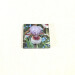 iris lilac and red square glass coaster slight angle view product image
