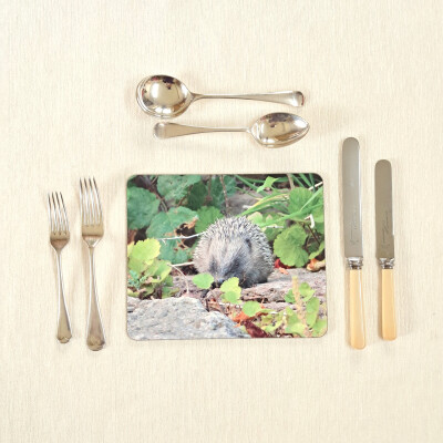 hedgehog rectangle placemat product image
