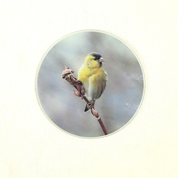 siskin grey 30cm round glass worktop saver product image