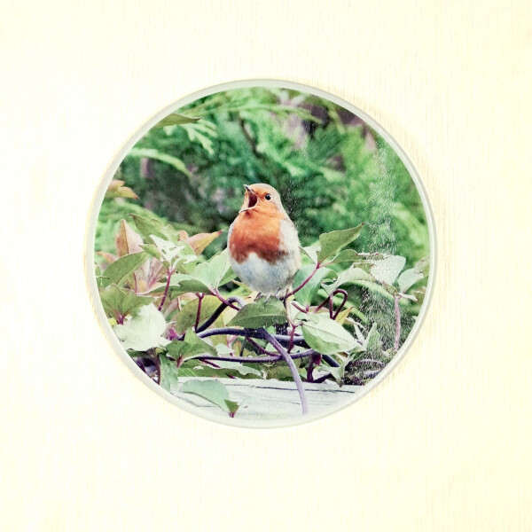 robin song 30cm round glass worktop saver product image