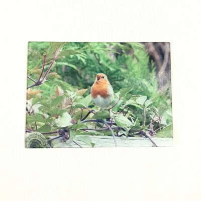 robin song large rectangle glass worktop saver product image