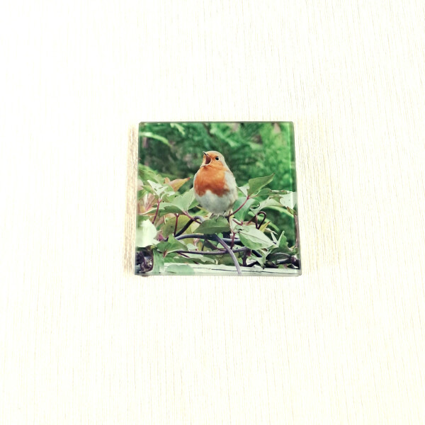 robin song square glass coaster product image v2