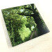 rabbit lane oaks square glass coaster diagonal close view product image