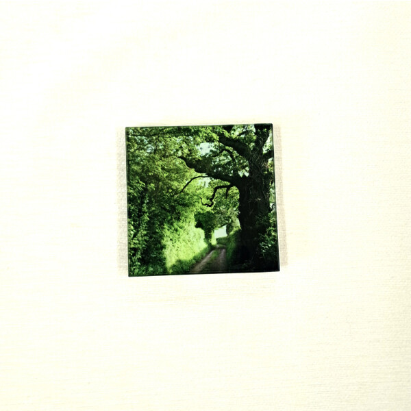 rabbit lane oaks square glass coaster product image