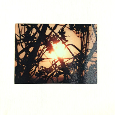 twilight hedge large rectangle glass worktop saver product image