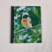 birders journal a4 hardback lined notebook male redstart image