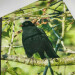 blackbird journal a4 lined notebook cover detail