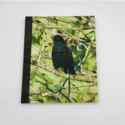 blackbird journal a4 lined notebook