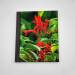 garden journal a4 lined notebook crocosmia image