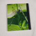 pond journal, a4 hardback lined notebook gold ringed dragonfly back cover view