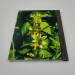 wild flower journal a4 lined notebook yellow archangel back cover view