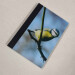 bluetit pocket journal, hardback a5 lined notebook diagonal view