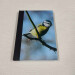 bluetit pocket journal, hardback a5 lined notebook front cover angle view