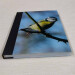 bluetit pocket journal, hardback a5 lined notebook front cover deep angle view