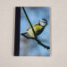 bluetit pocket journal, hardback a5 lined notebook