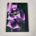 foxglove bumblebee pocket journal, hardback a5 lined notebook back cover view