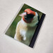 goldfinch pocket journal, hardback a5 lined notebook back cover diagonal view