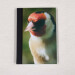 goldfinch pocket journal, hardback a5 lined notebook