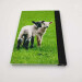 lambs pocket journal, hardback a5 lined notebook back cover view