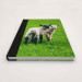 lambs pocket journal, hardback a5 lined notebook front cover angle view