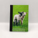 lambs pocket journal, hardback a5 lined notebook upright view