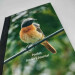 pocket birders journal, hardback a5 lined notebook redstart cover detail view