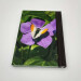 pocket butterfly journal, hardback a5 lined notebook orange tip butterfly on periwinkle back cover view