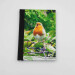 robin song pocket journal, hardback a5 lined notebook