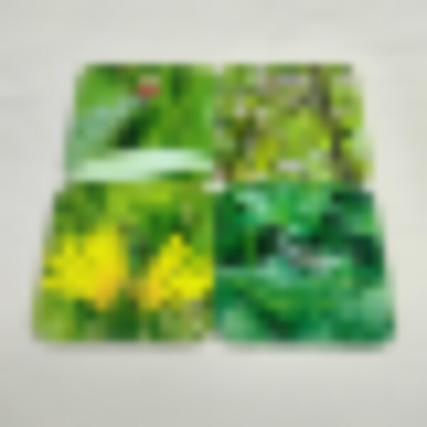 mini beast, ladybird, dragonfly, grasshopper, beetle, set of four square coasters angle view 