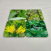 mini beast, ladybird, dragonfly, grasshopper, beetle, set of four square coasters sharp angle view 