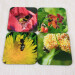 wild bees and bumblebees, set of four square coasters red orange yellow flowers slight angle view 