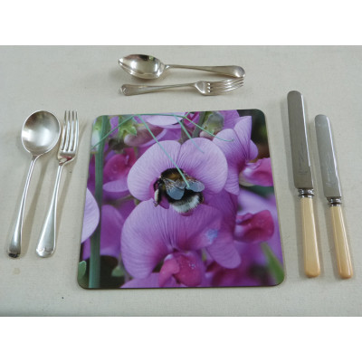 B2SPWISM sweet pea setting