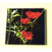 anemone deco square glass coaster beautiful flower gifts red flowers gardening homeware interior design