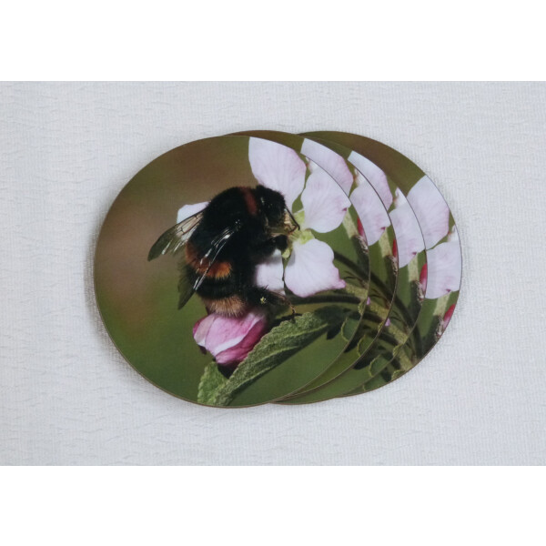 Buff tail bumblebee round coasters, queen on apple blossom image,fan view