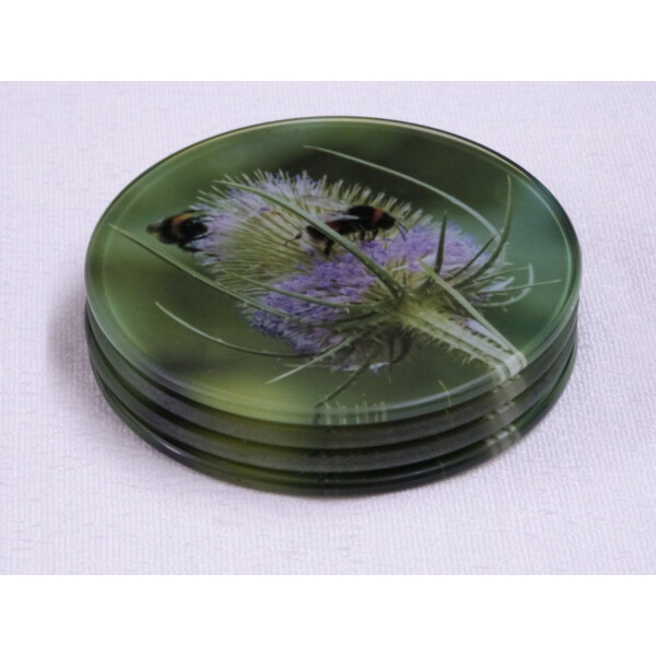 Four buff tail bumblebee round glass coasters, workers on lilac colour teasel flower, side view