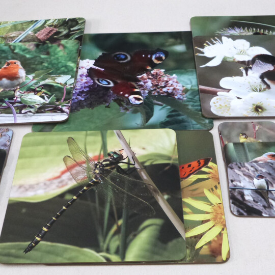 3.1.1 FROM OUR GALLERY revis