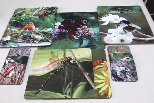 3.1.1 FROM OUR GALLERY revis